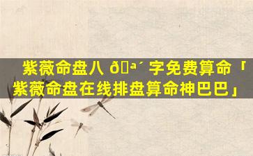 紫薇命盘八 🪴 字免费算命「紫薇命盘在线排盘算命神巴巴」